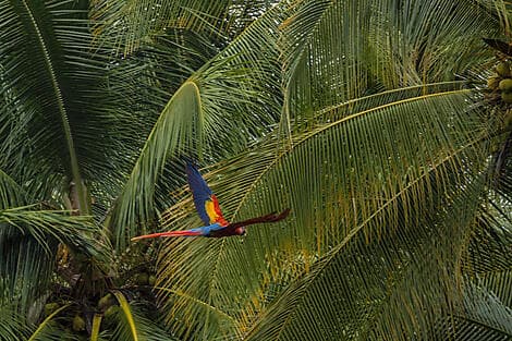 4 Mar 27 - Golfito