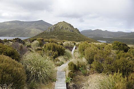 21 Jan 27 - Campbell Island