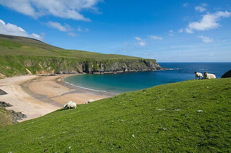 15 Apr 26 - Killybegs