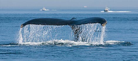 10 Aug 27 - Tadoussac