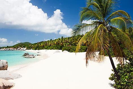 16 Feb 26 - Virgin Gorda