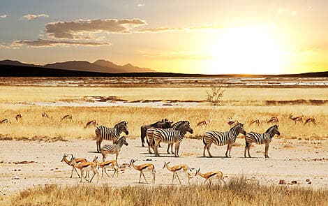 28 Dec 25 > 29 Dec 25 - Richards Bay