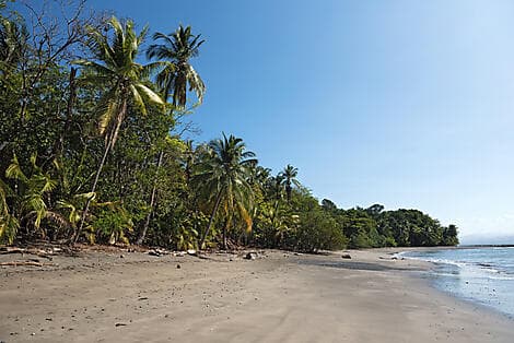 25 Jan 26 - Cébaco Island