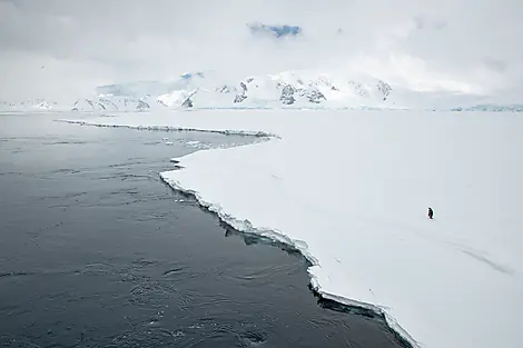 6 Jan 26 - The Gullet