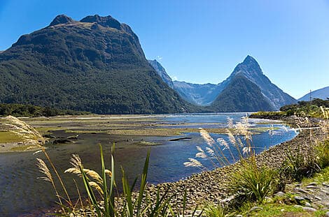 14 Jan 27 - Milford Sound
