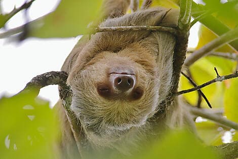 4 Jan 27 - Puntarenas