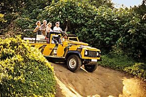 Aito Off-Road safari
