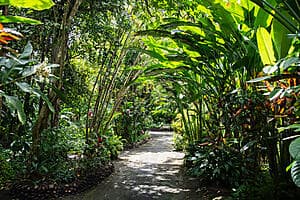 Wonders of Soufrière