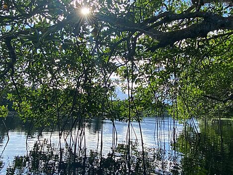 27 Dec 25 - La Ensenada