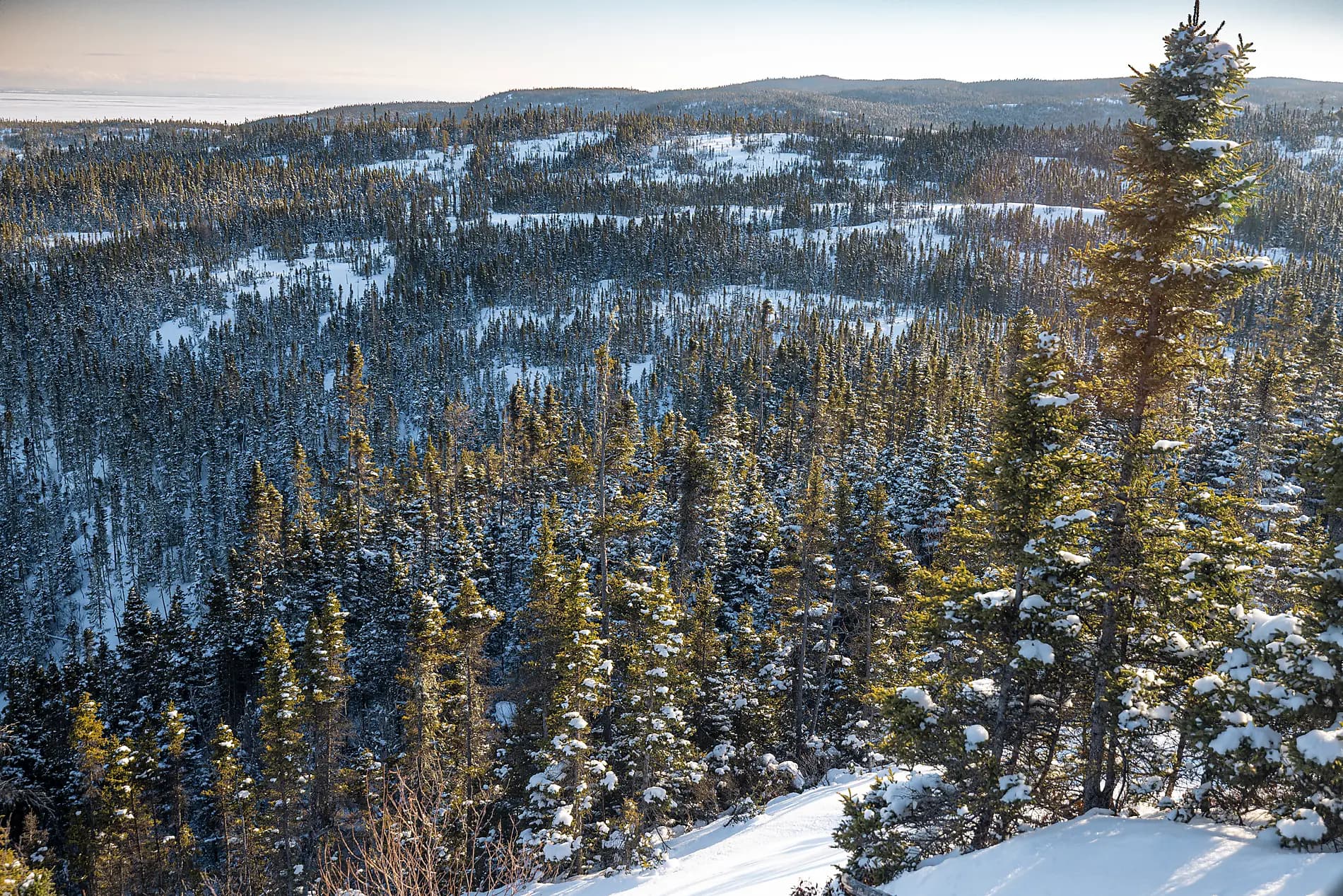 The St. Lawrence River in the Heart of the Boreal Winter 