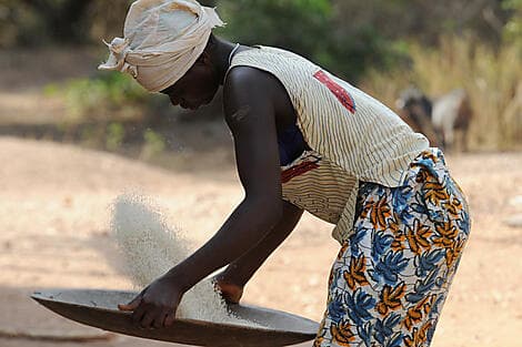 22 Jan 26 - Canhabaque, Bijagos