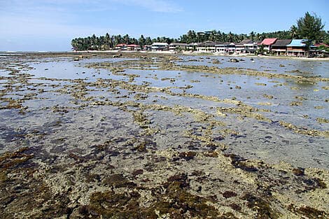 16 Jan 26 - Pulau Nias, Greater Sunda Islands