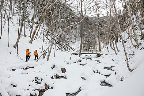 7 Mar 27 - Corner Brook