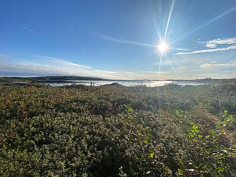 29 Sept 26 - La Romaine