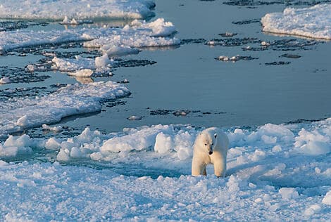 7 Sept 27 - Coningham Bay, Nunavut