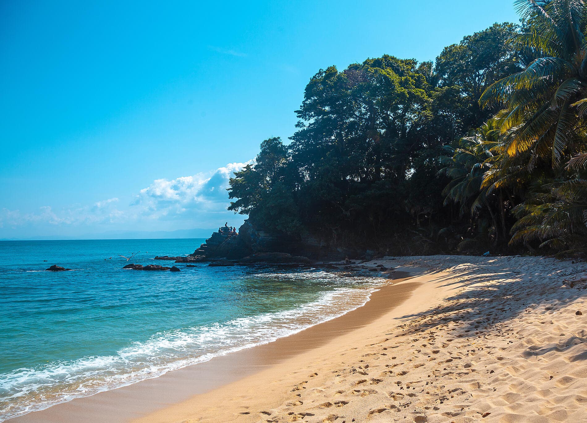 Natural sanctuaries & Caribbean encounters 