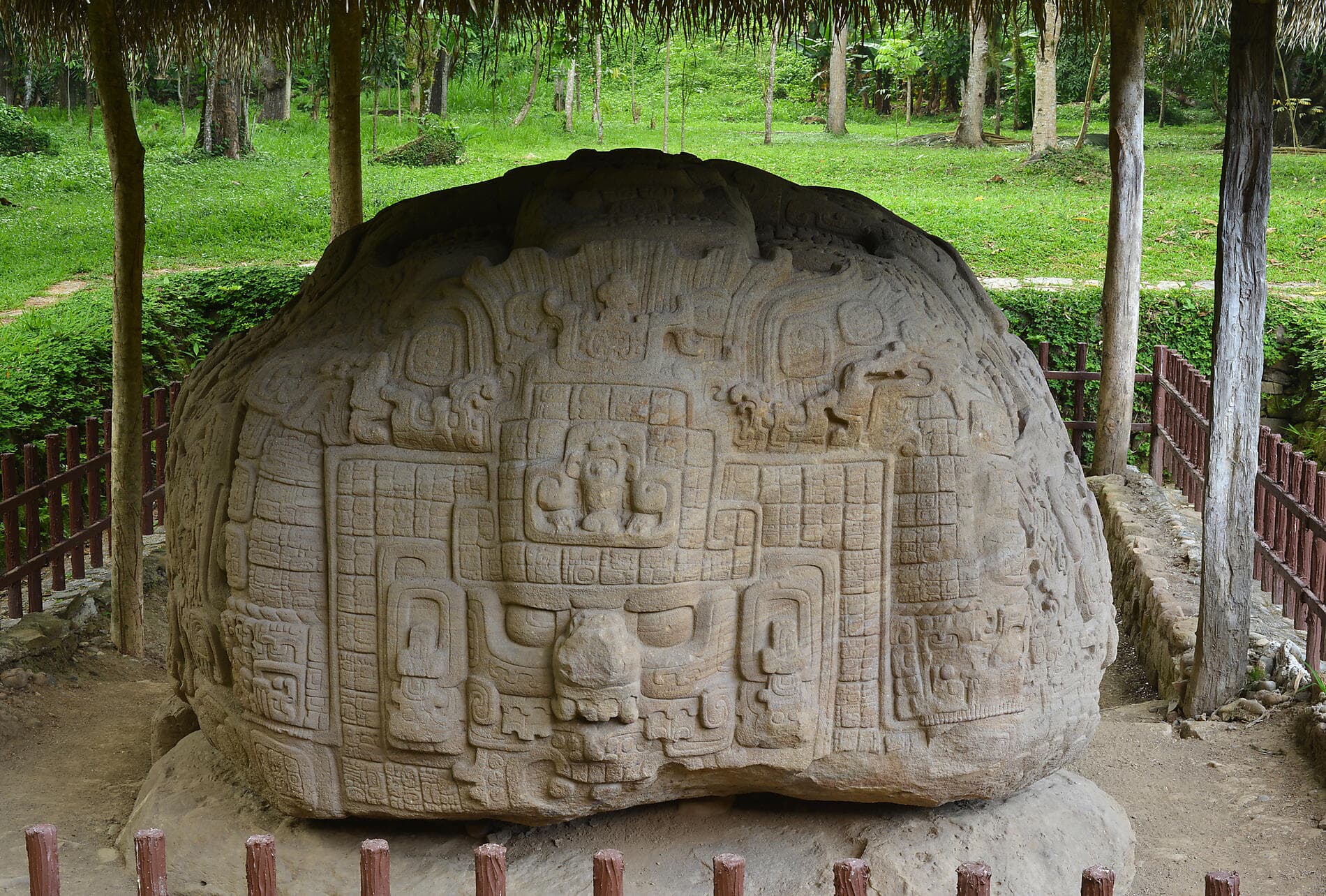 A Tropical Odyssey in Central America 