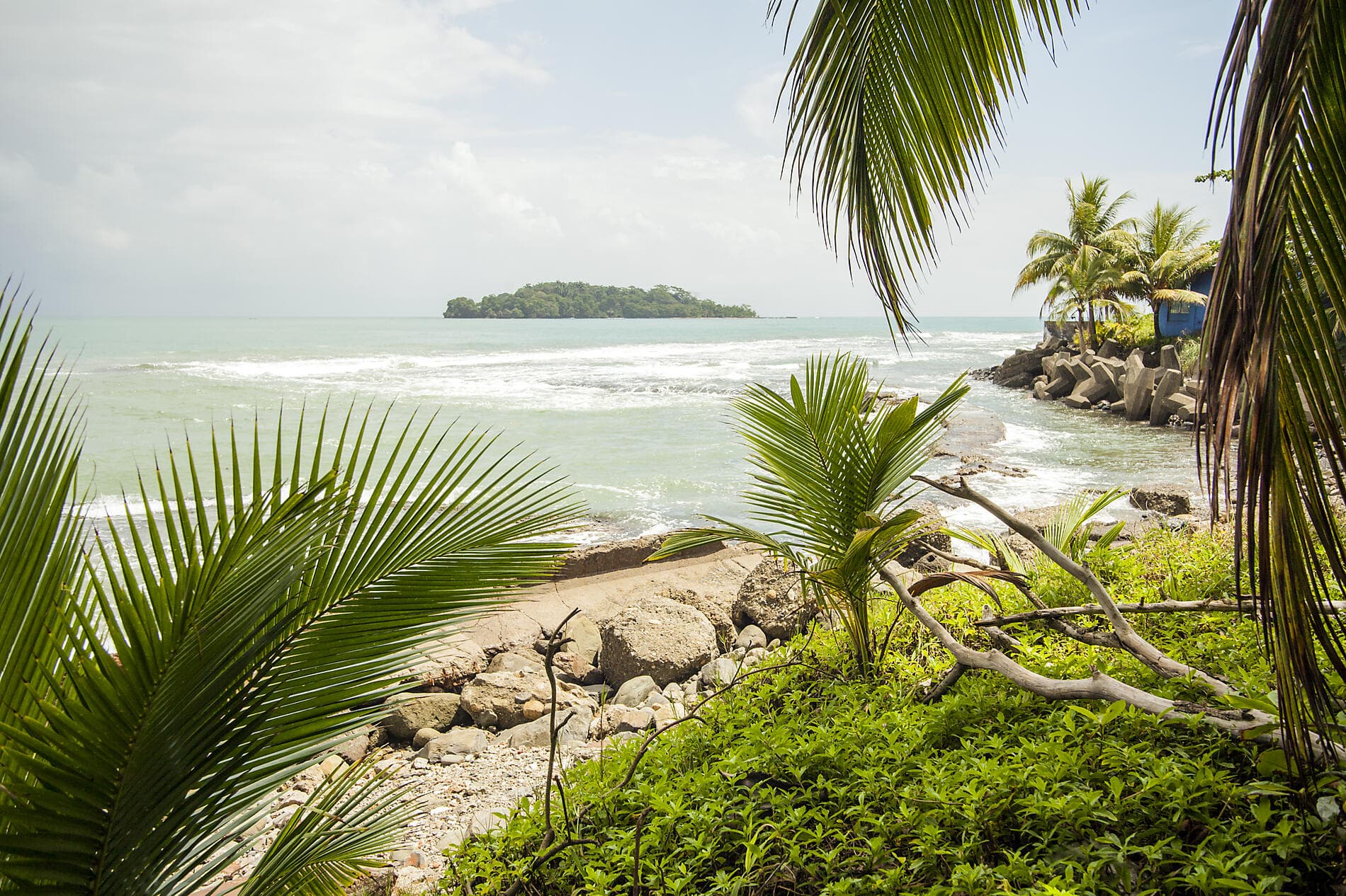 A Tropical Odyssey in Central America 