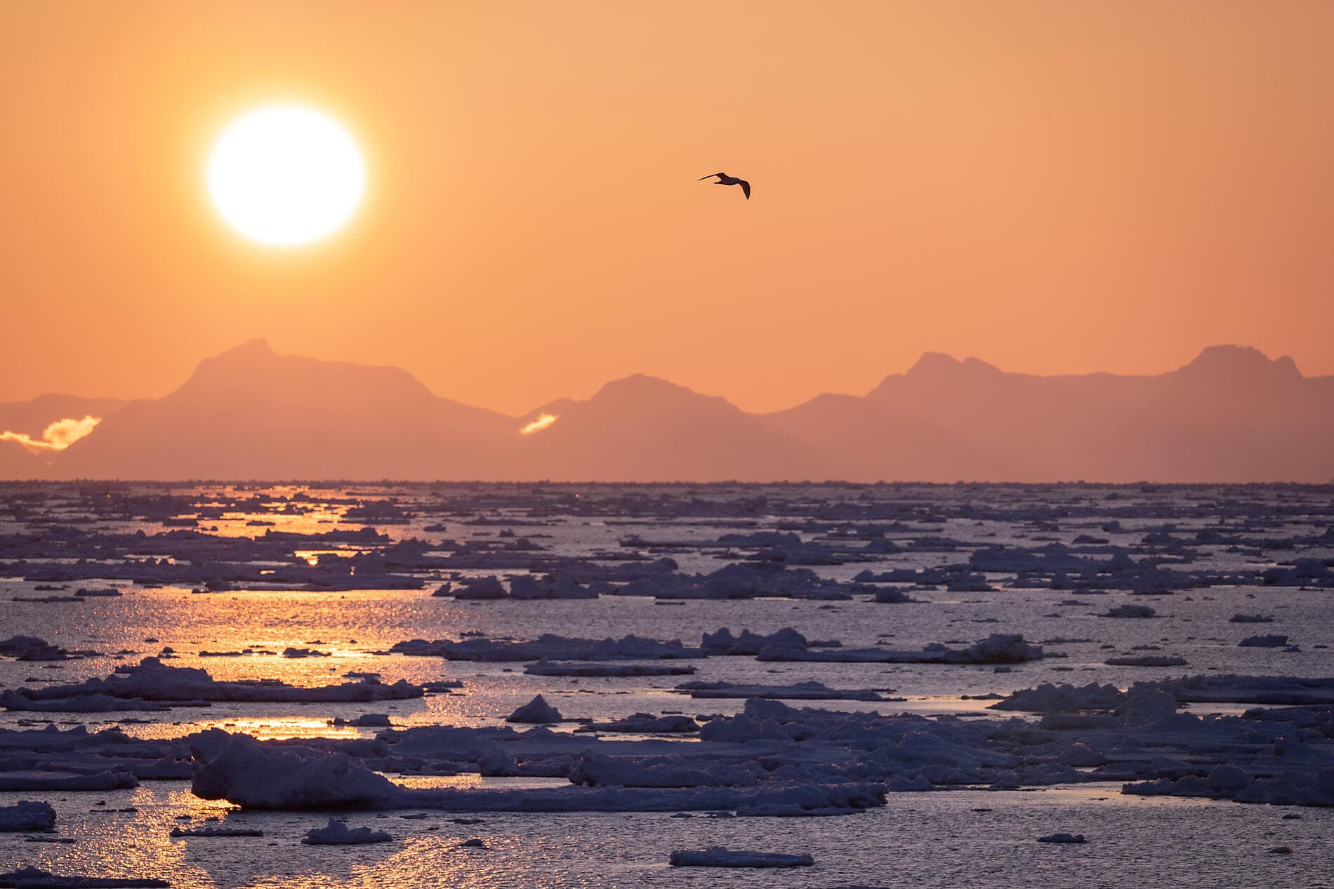 Inuit spring of Ammassalik 
