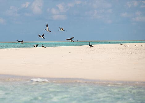 30 May 27 - Ashmore Reef (technical stop)