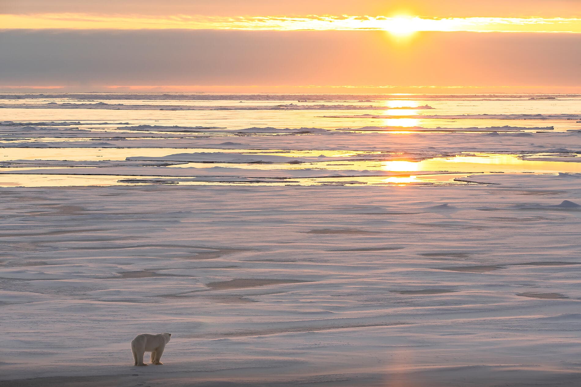 The Geographic North Pole 