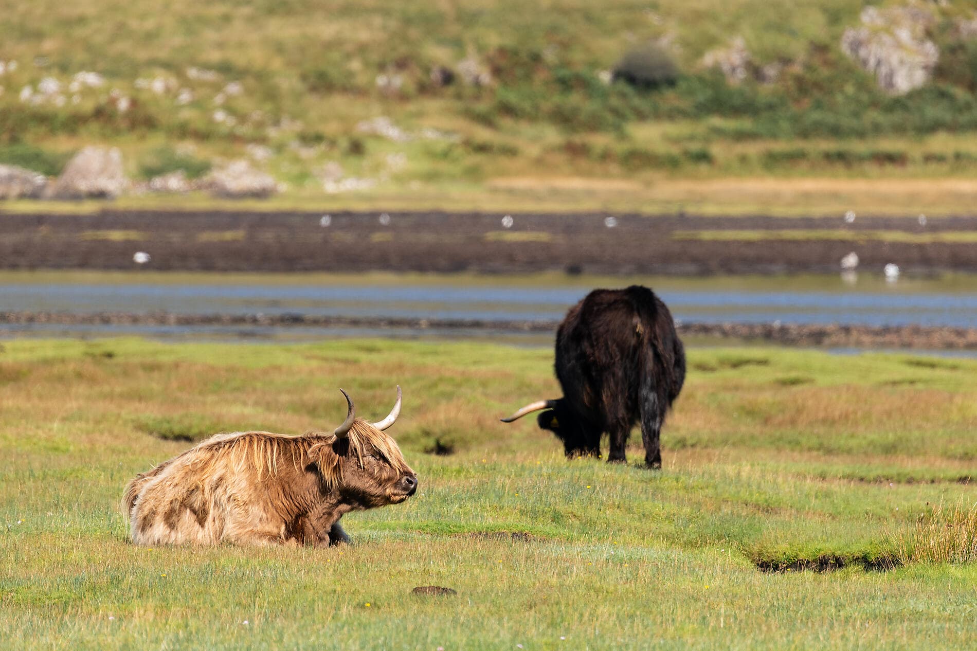 Celtic Secrets & Landscapes 
