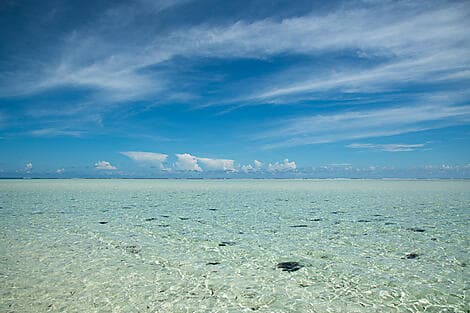 4 Feb 27 - Saint François Atoll