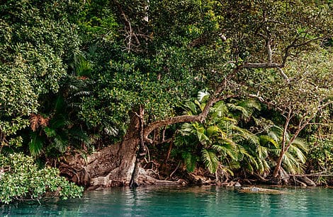 27 Feb 26 - Iriomotejima