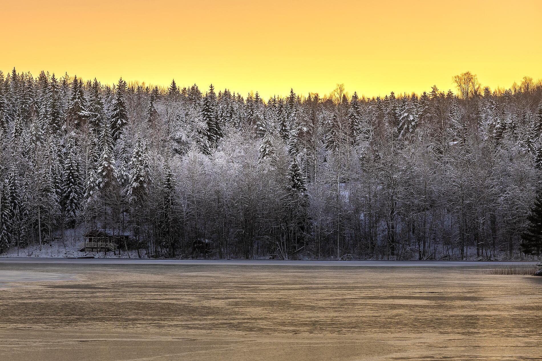 Baltic Bliss & Winter Wonders