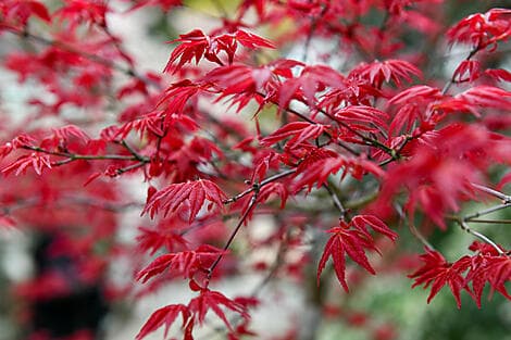 12 May 26 - Itozaki