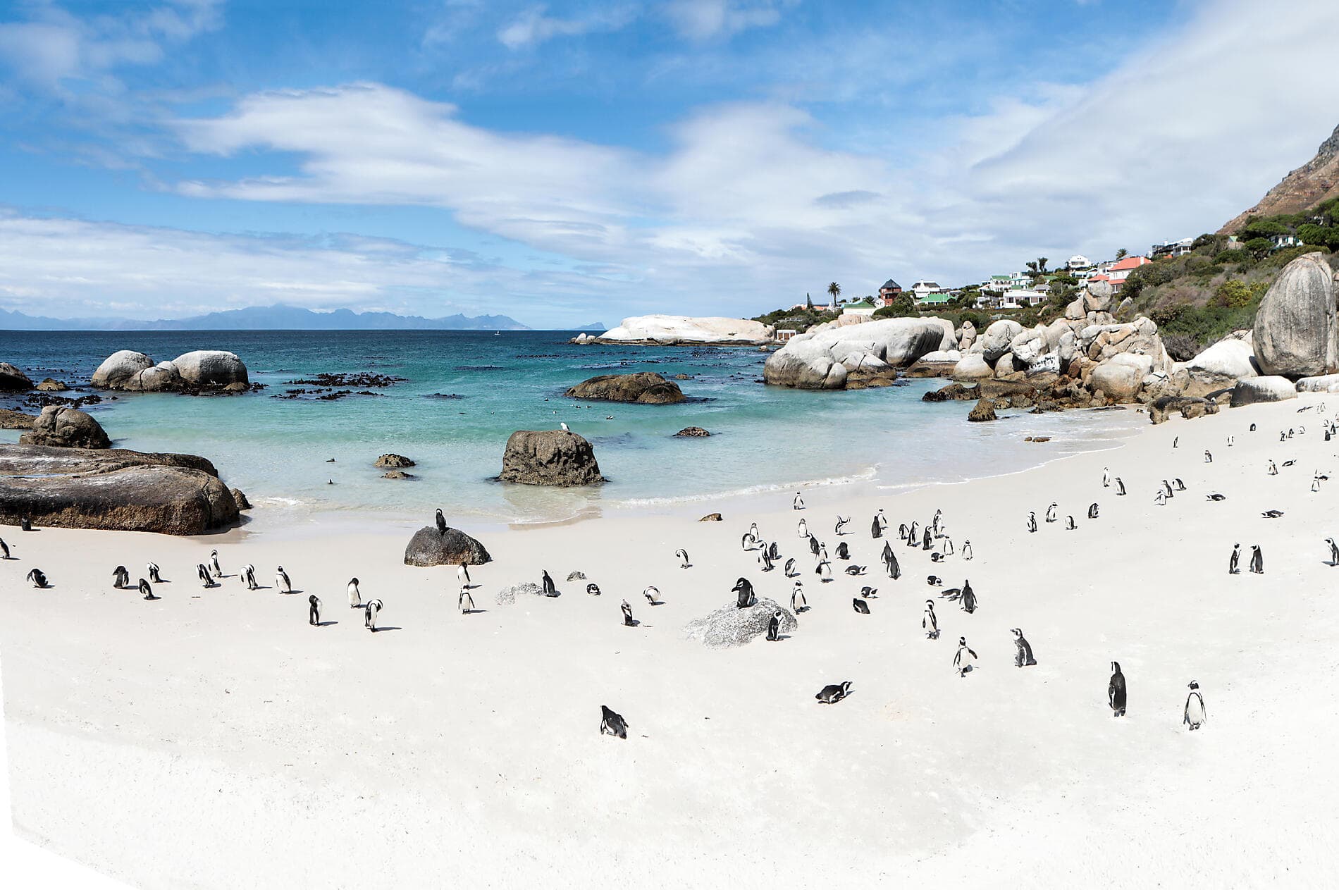 South Africa and Namibia by Sea: Around the Cape of Good Hope – with Smithsonian Journeys 