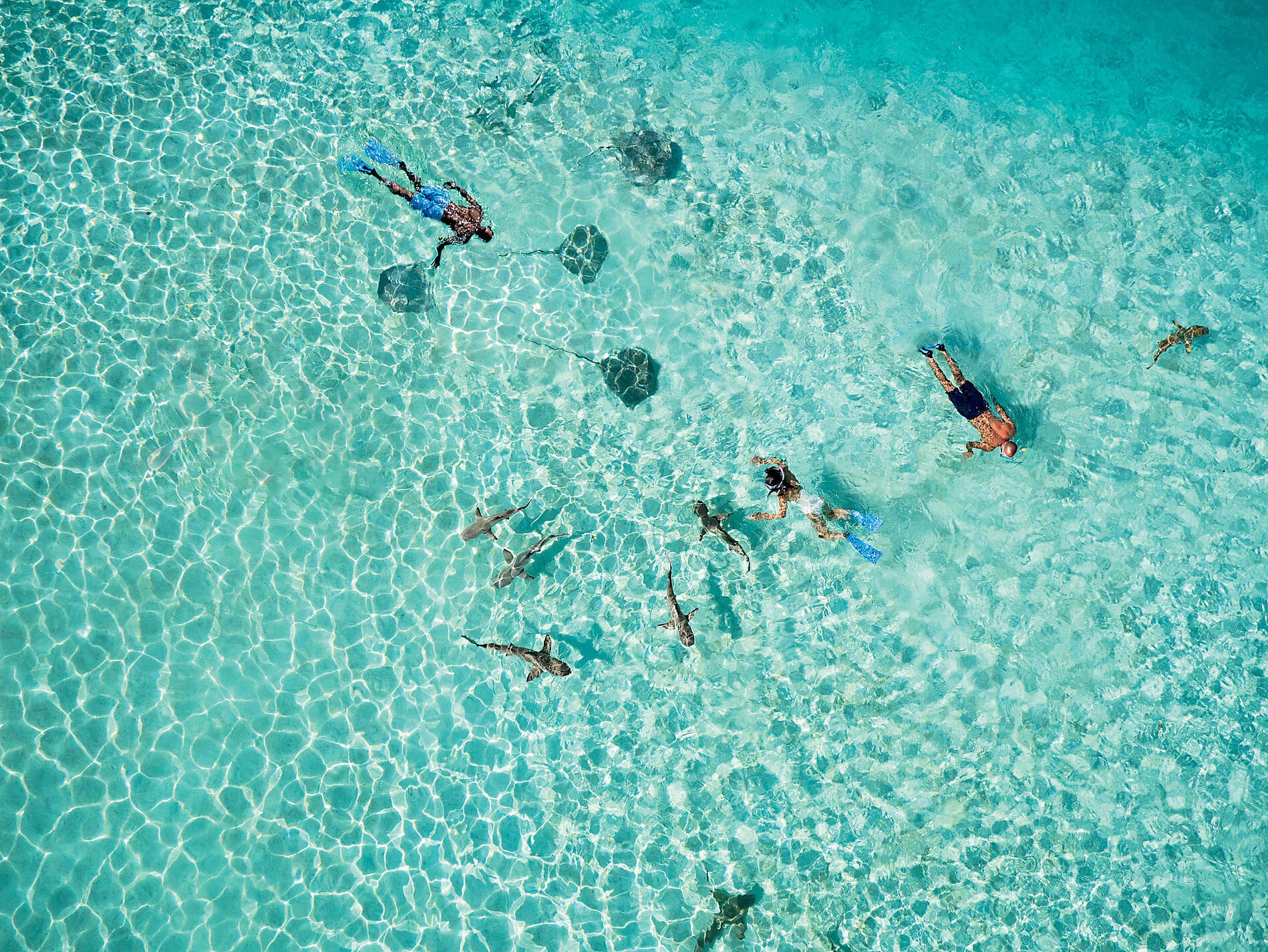 Secret Polynesia from the Society to the Austral Islands 