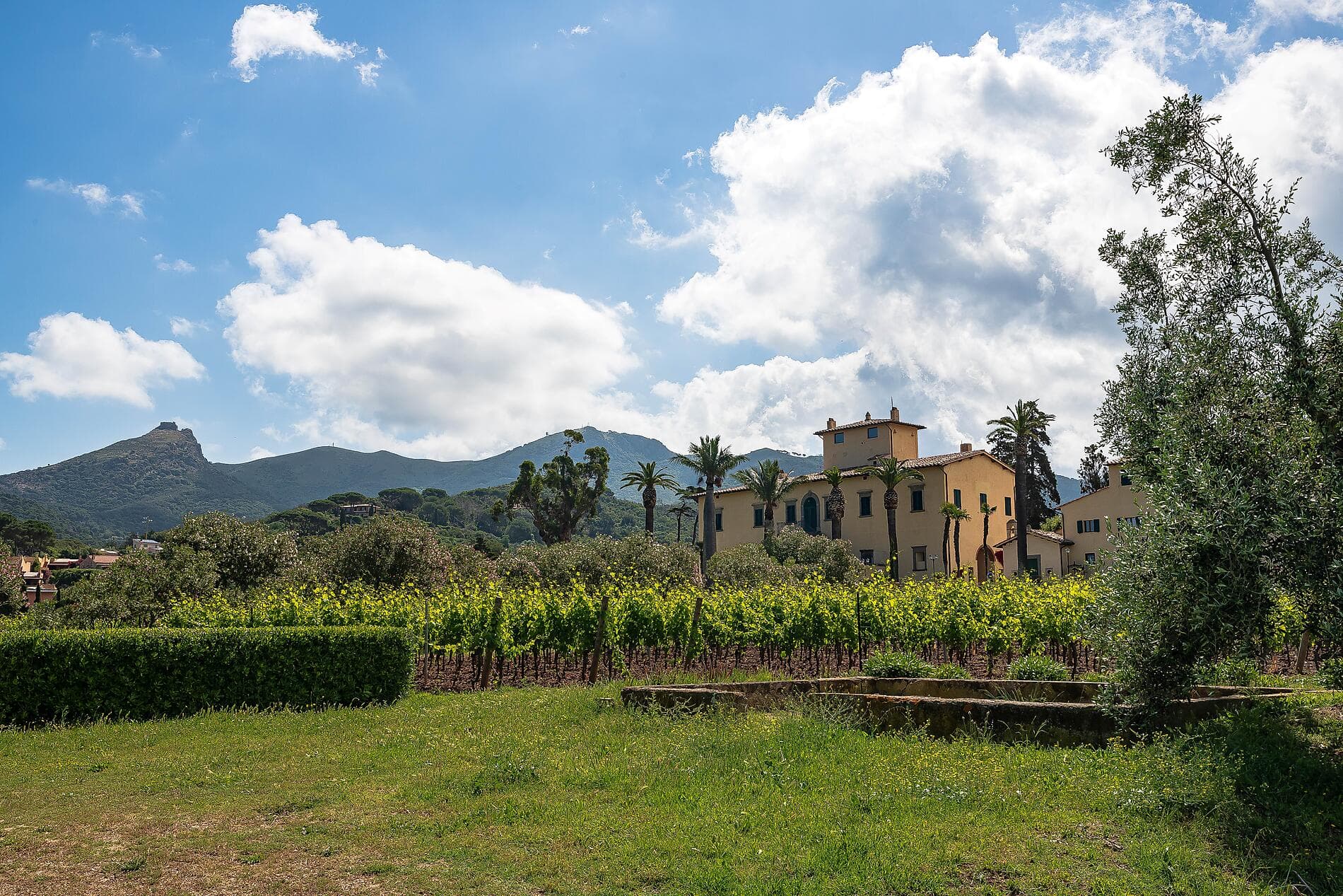  From the French city of angels to the shores of the Adriatic  