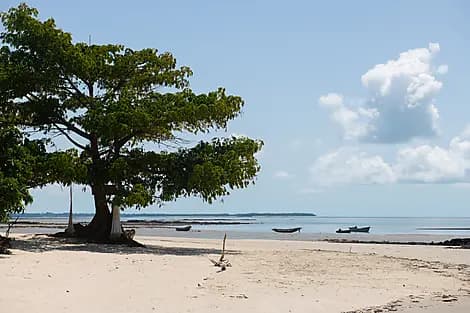 21 Jan 26 - Joao Vieira Island, Bijagos