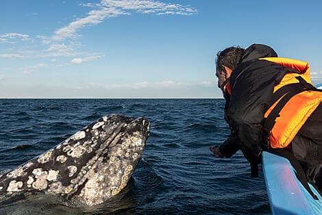 22 Feb 27 - Guerrero Negro