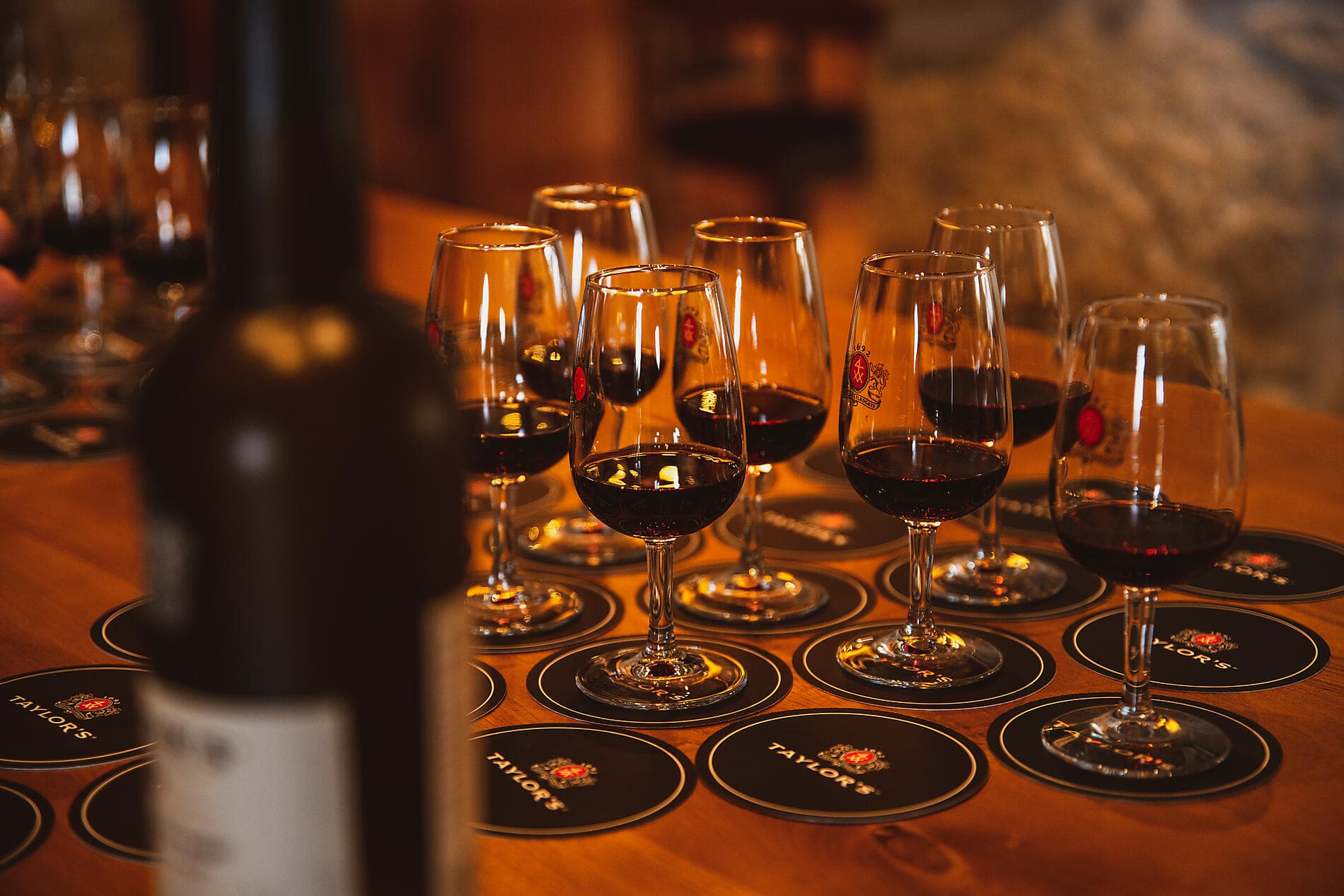 Green Shores: Exploring the Bay of Biscay and Iberian Coastline 