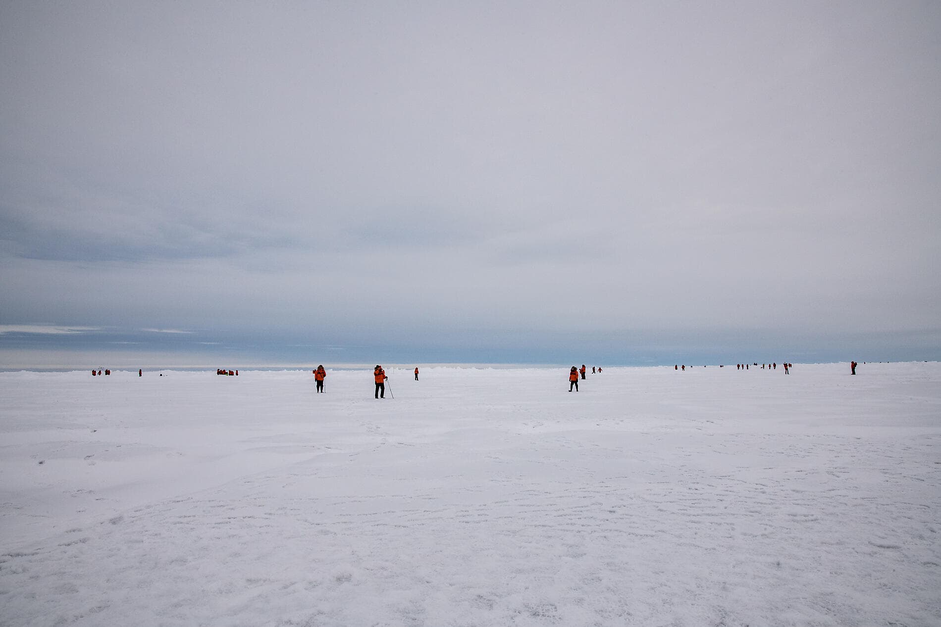 The Geographic North Pole and the east coast of Greenland  