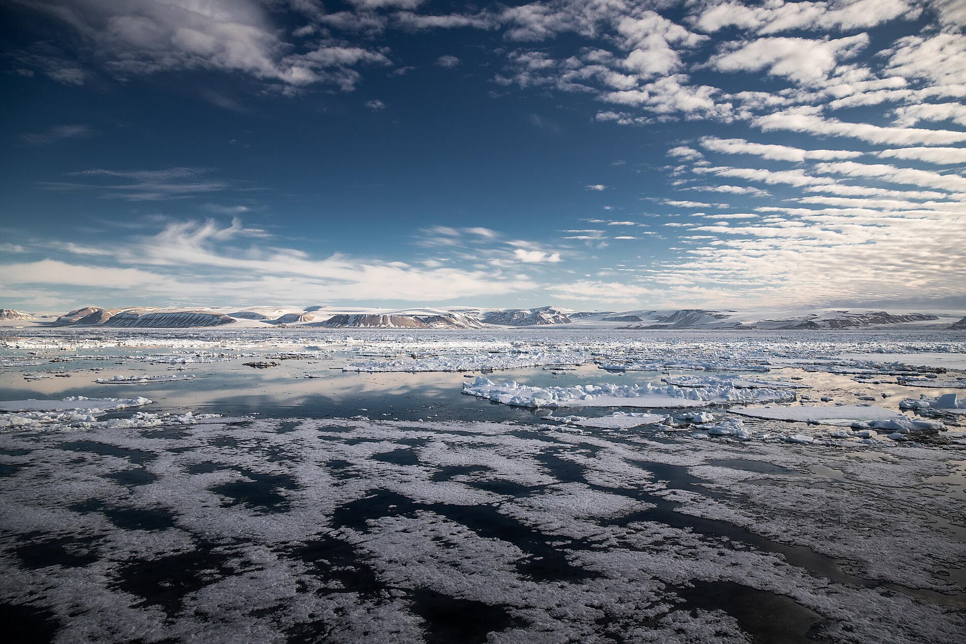 In the ice of the Arctic, from Svalbard to Greenland