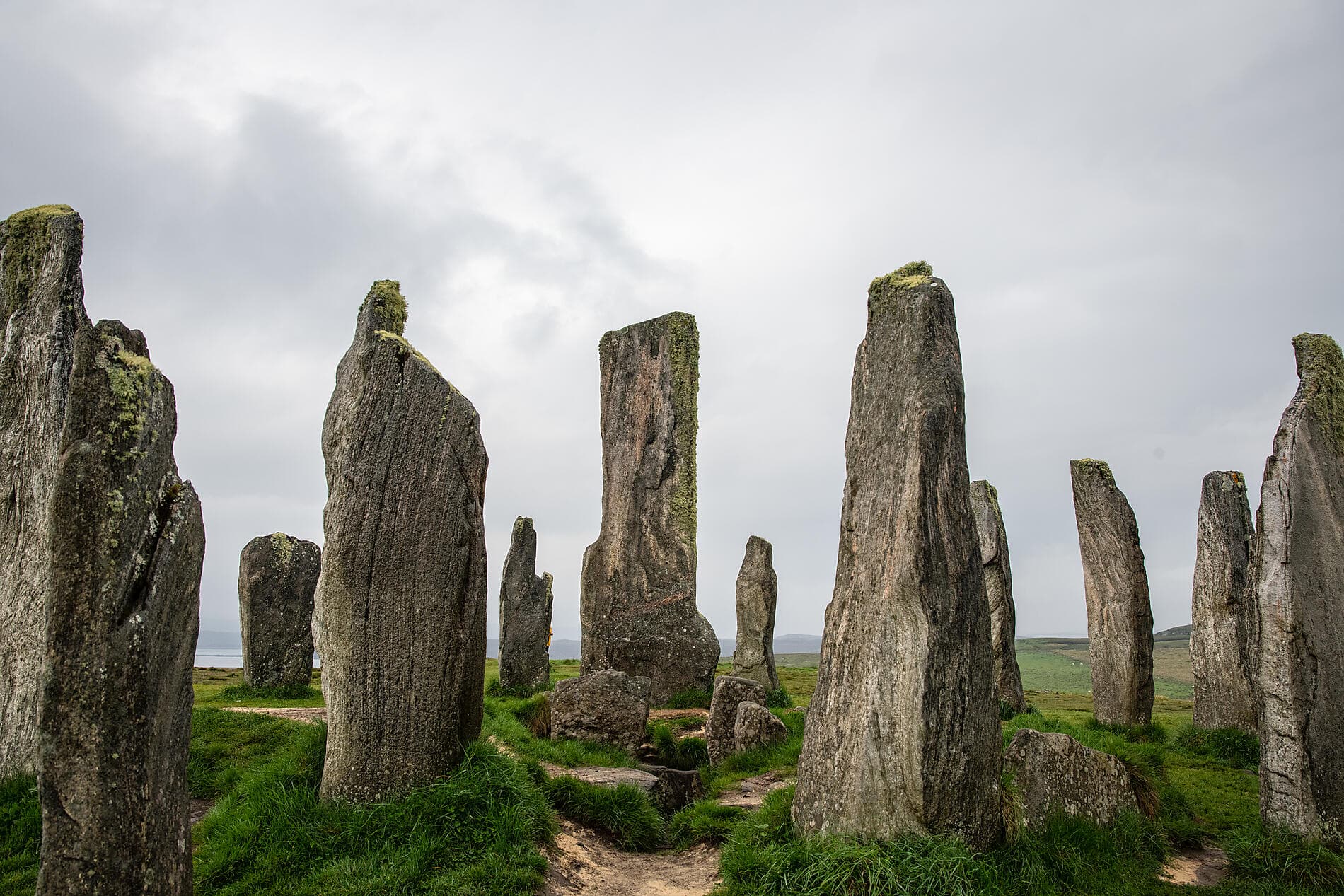 The wild archipelagos of the North Atlantic  