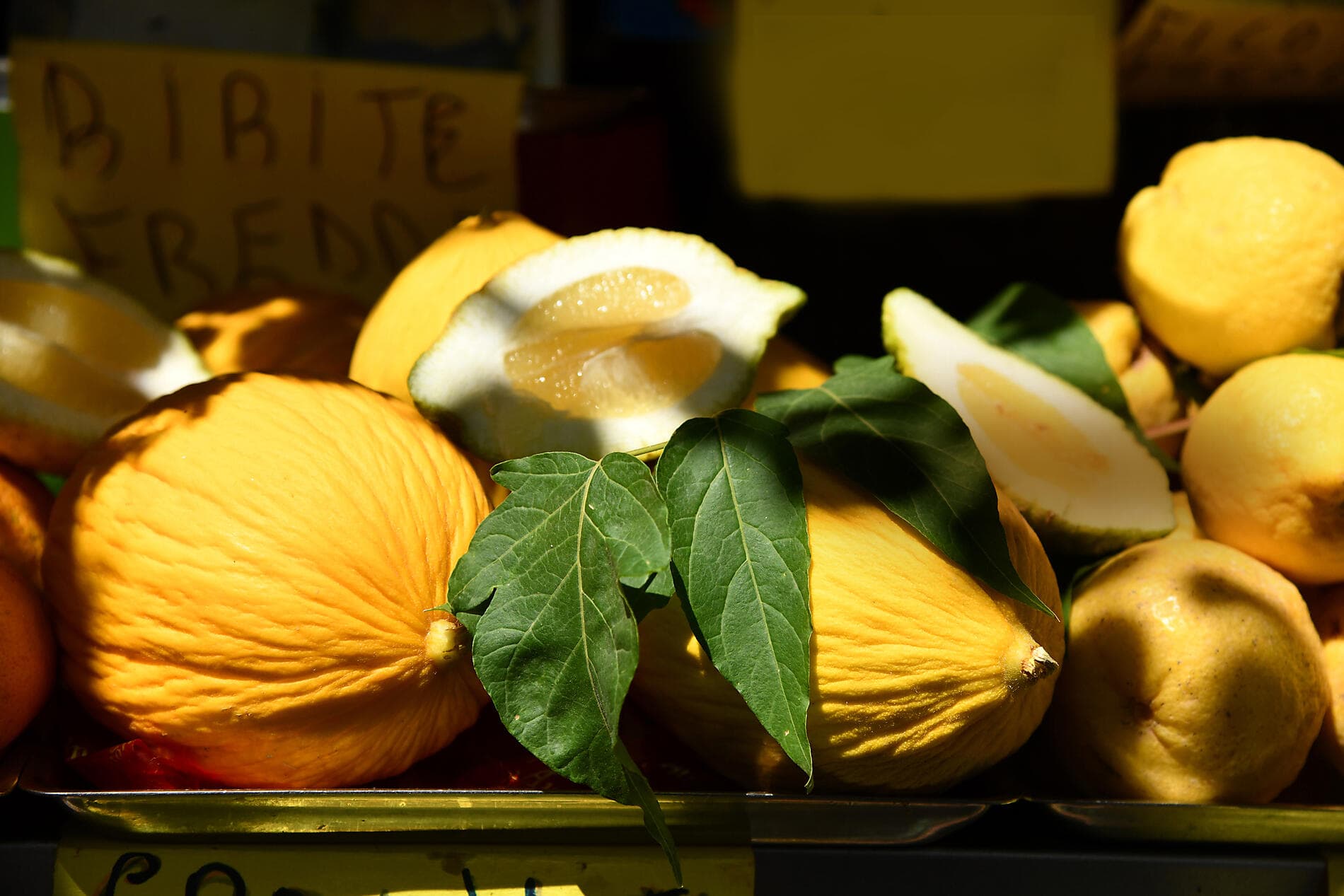 From the Iberian shores to the Italian coast 