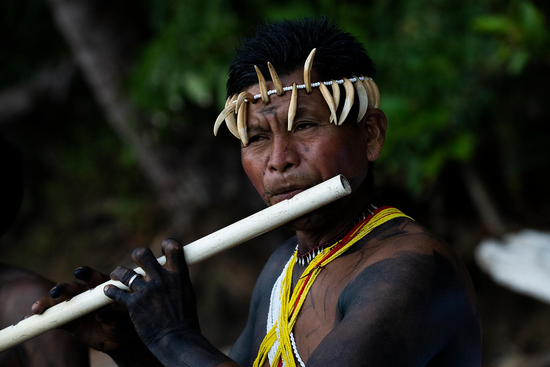 From Panama’s wild beauty to Peruvian shores 