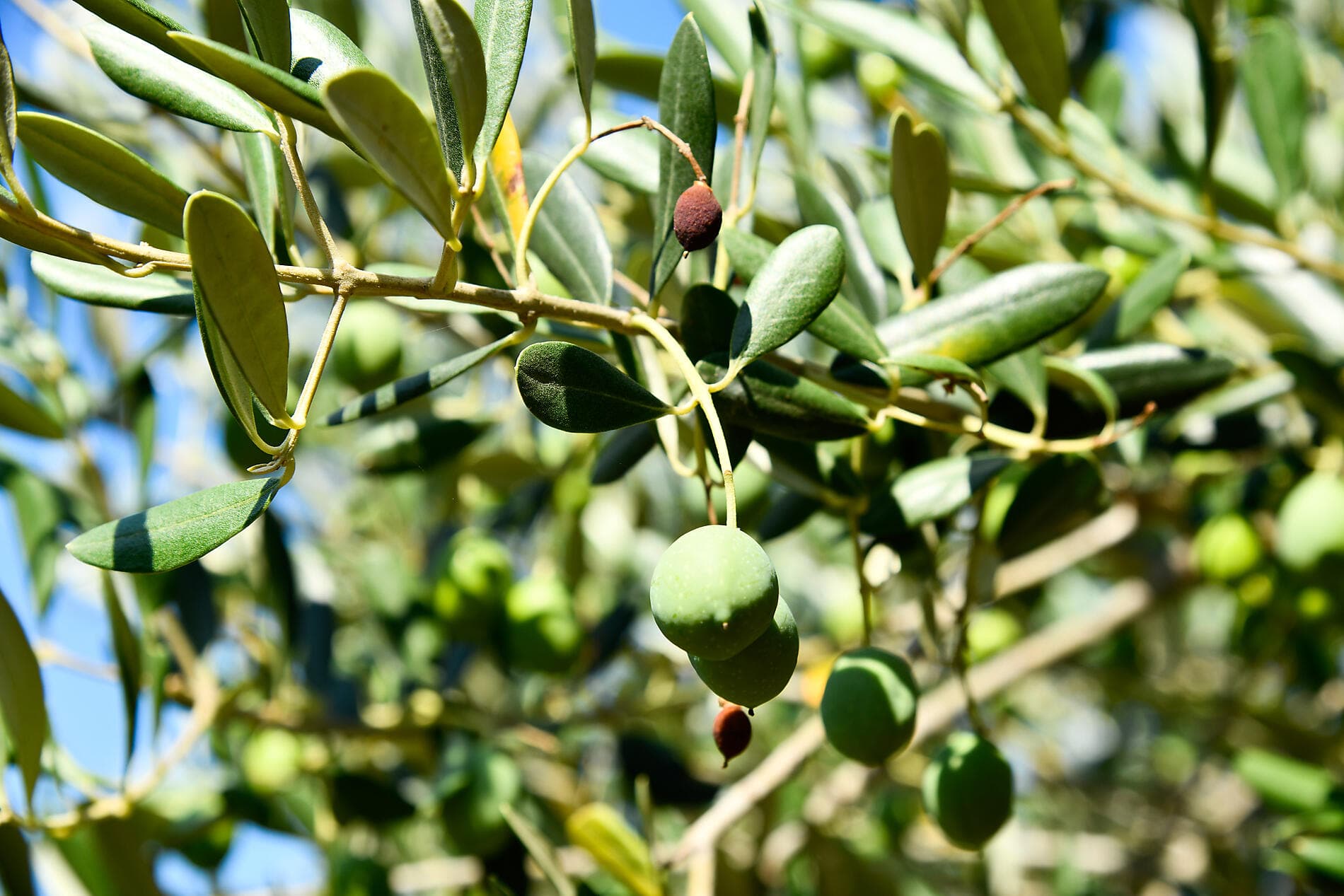 Peaceful islands and ancient treasures of the Mediterranean  