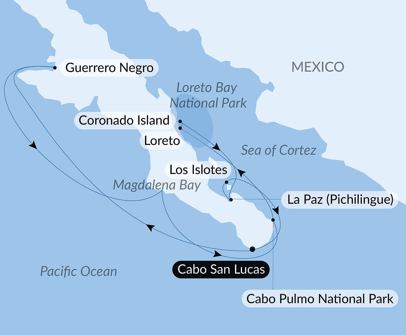 Baja and the Sea of Cortez: In Search of the Great Whales – with Smithsonian Journeys