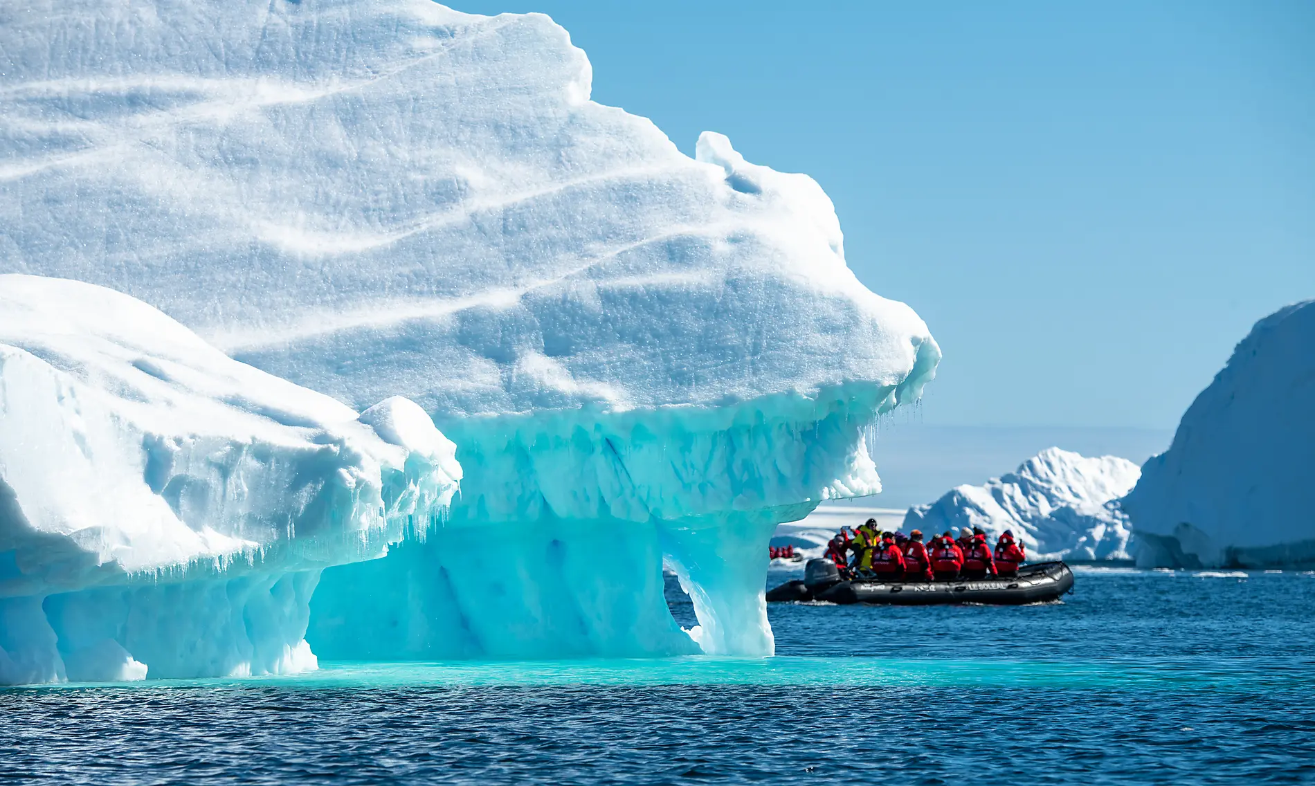 Emblematic Antarctica 