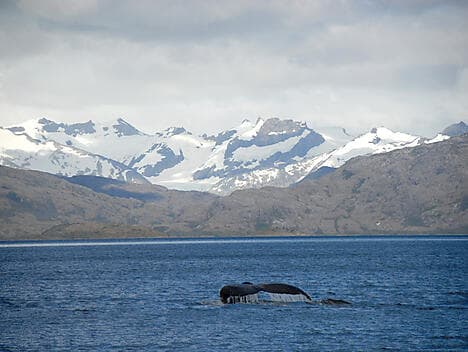 12 Nov 26 - Sailing in the Strait of Magellan